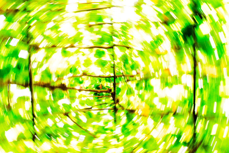 King Sky V - ID 006853