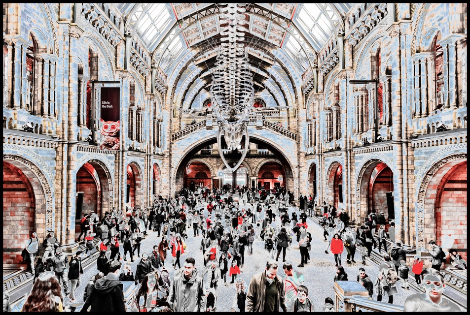 Main Hall with Whale I - ID 006887