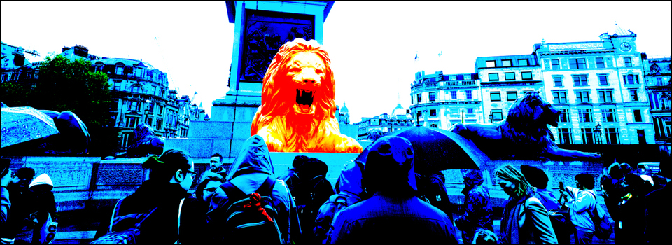 Lion III - ID 006900