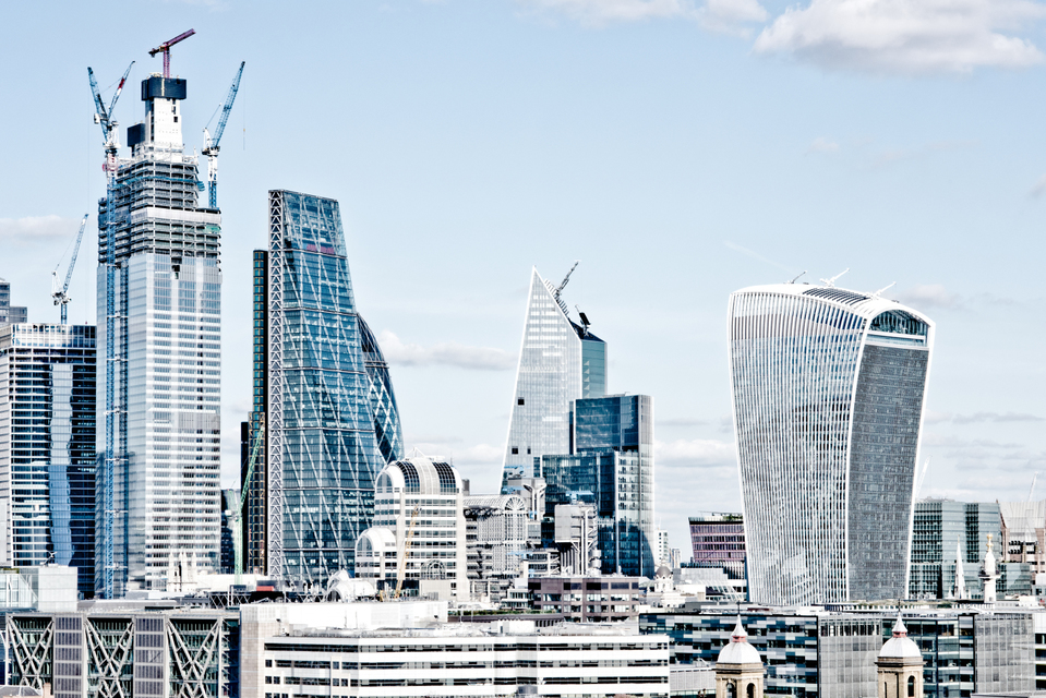 Cheese Grater and Friends - ID 007011