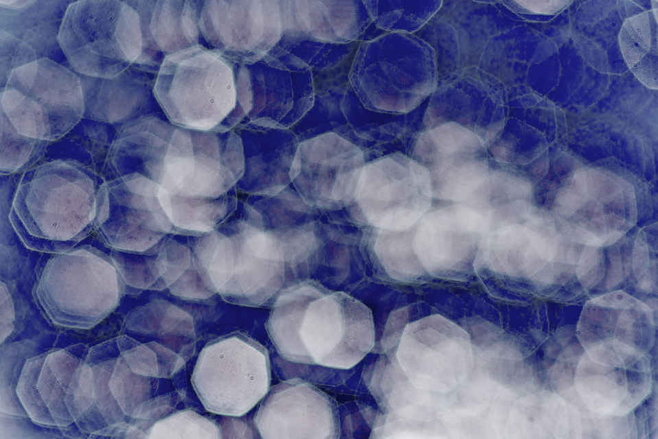 Park Water VII - ID 007048