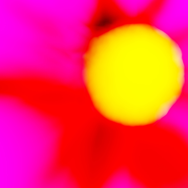 Red Flower II - ID 007127