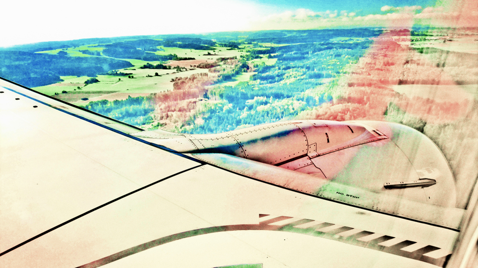 Over Grass and Woodland I - ID 007166