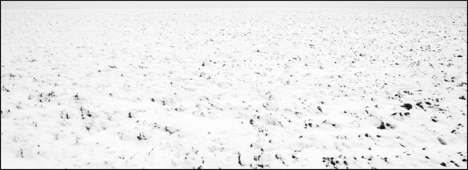 Snow Over White - ID 007226