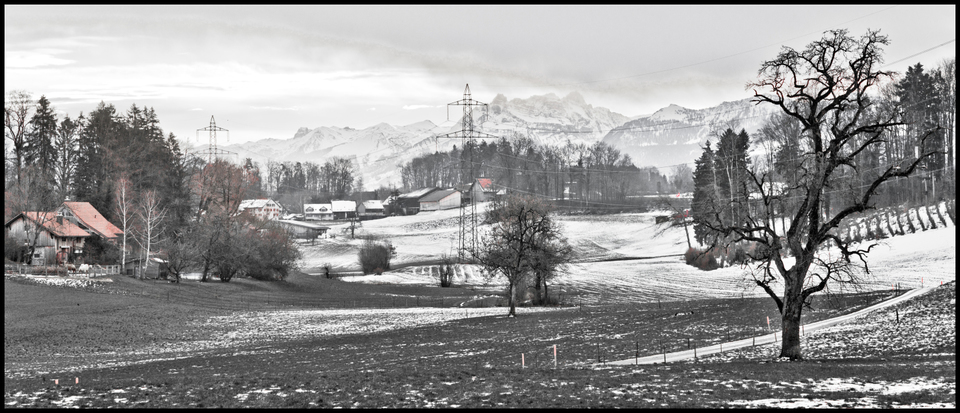 Suiss Winter II - ID 007253