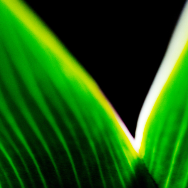 Triangle I - ID 007312