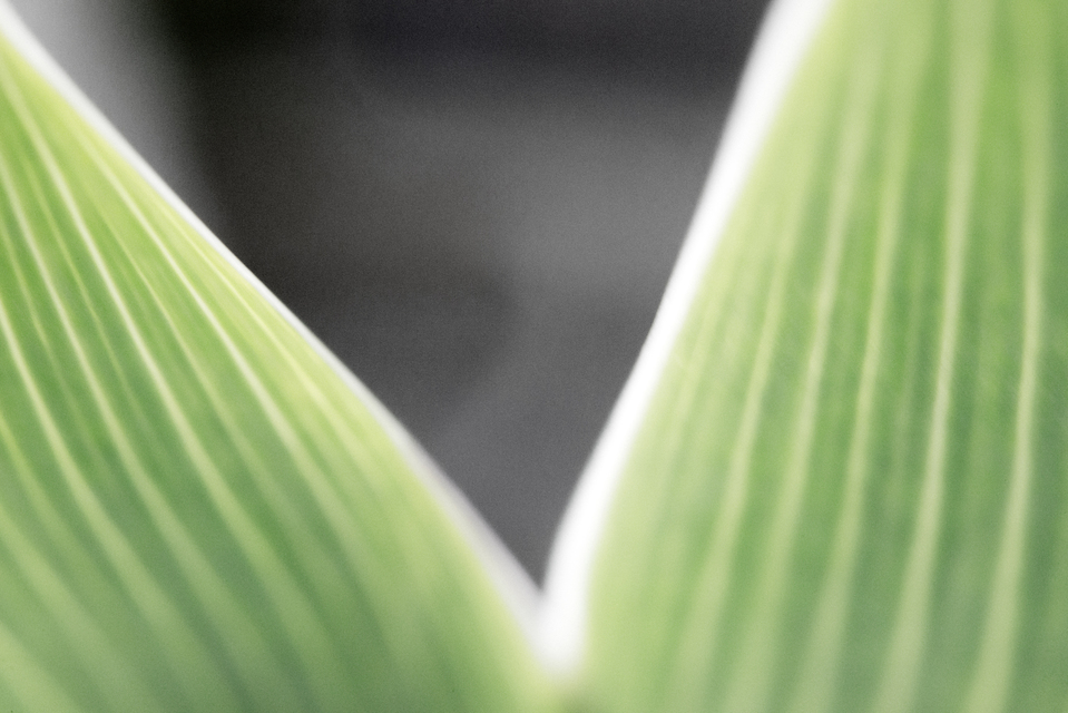 Triangle II - ID 007313