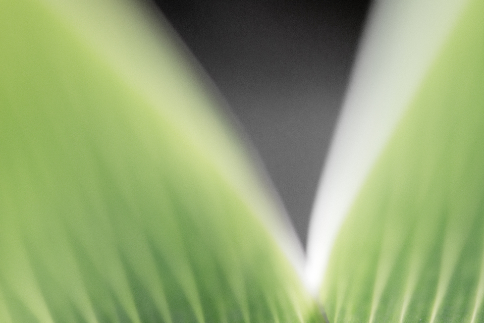 Triangle V - ID 007316