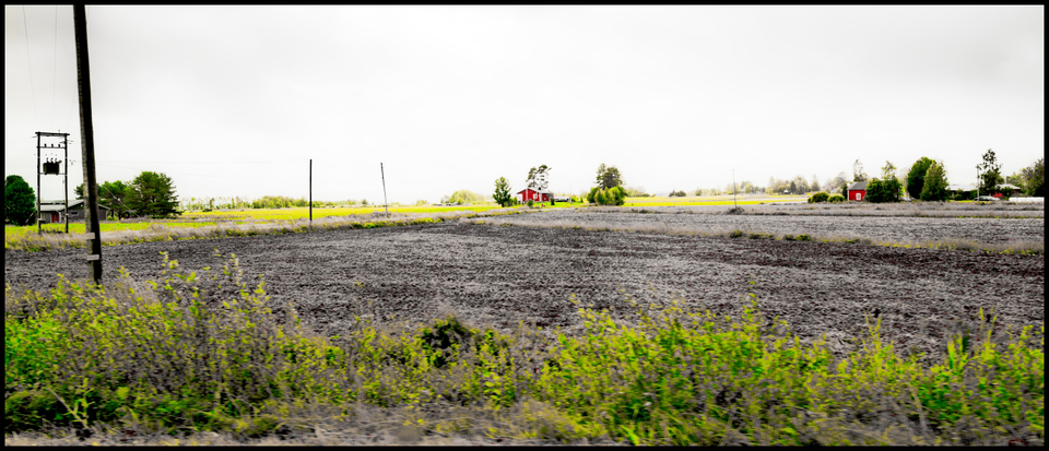 Red Houses I - ID 007326