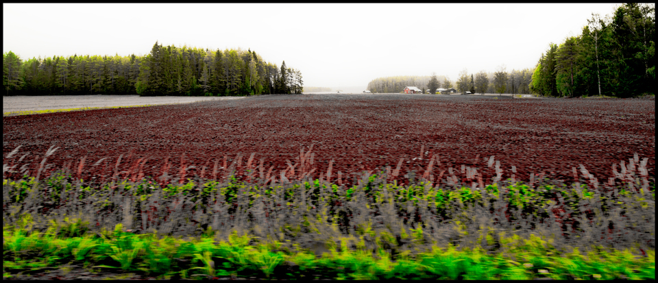 Empty Field - ID 007328