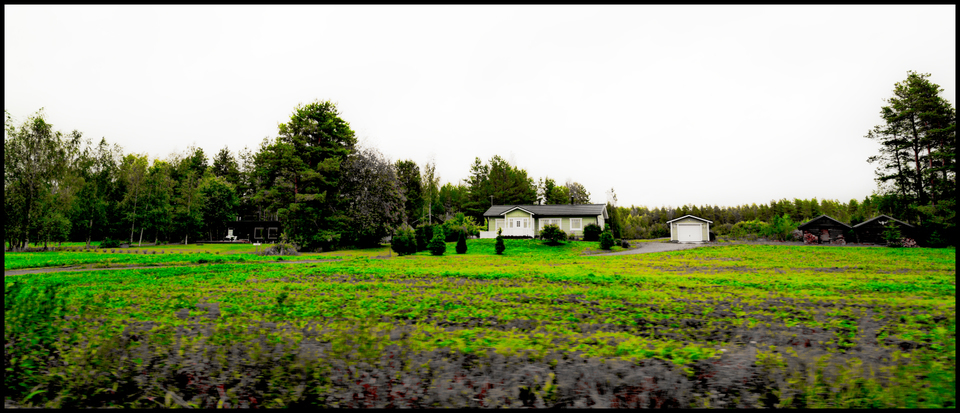 Green Field and House - ID 007334