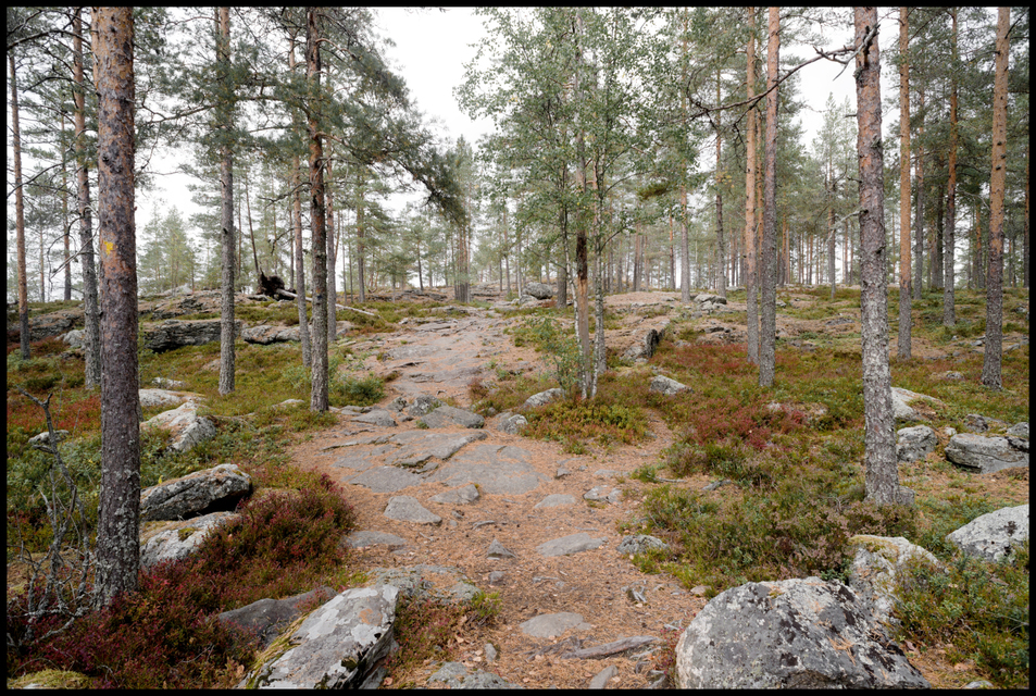 Finnish Path I - ID 007346