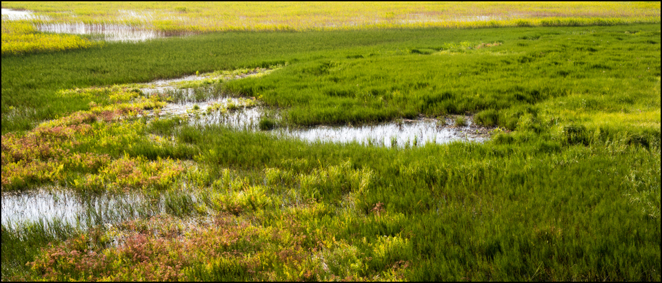 At the Lake II - ID 007357