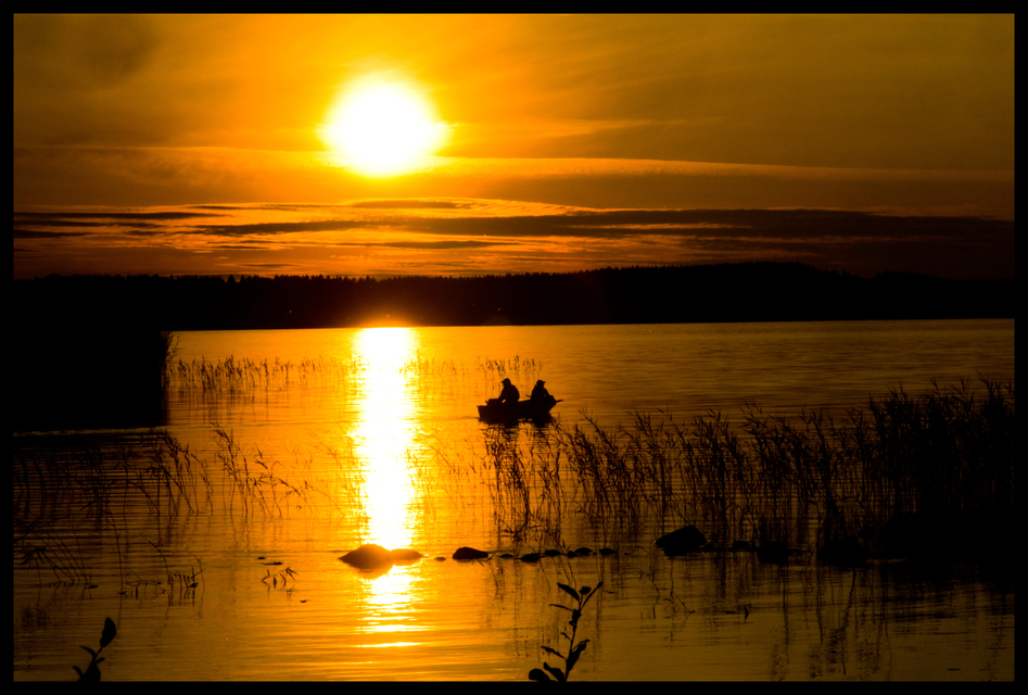 Hunter on Lake IV - ID 007370