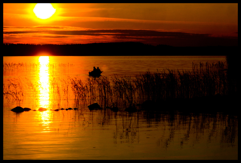 Hunter on Lake V - ID 007371