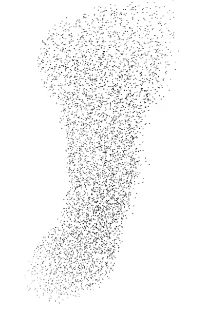 Swarm of Birds VII - ID 007380