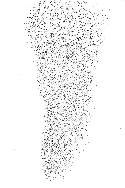 Swarm of Birds IX - ID 007384