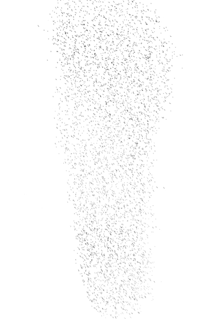 Swarm of Birds Xb - ID 007387