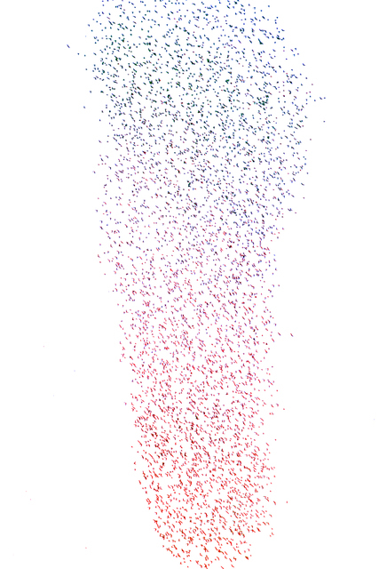 Color Swarm of Birds - ID 007388