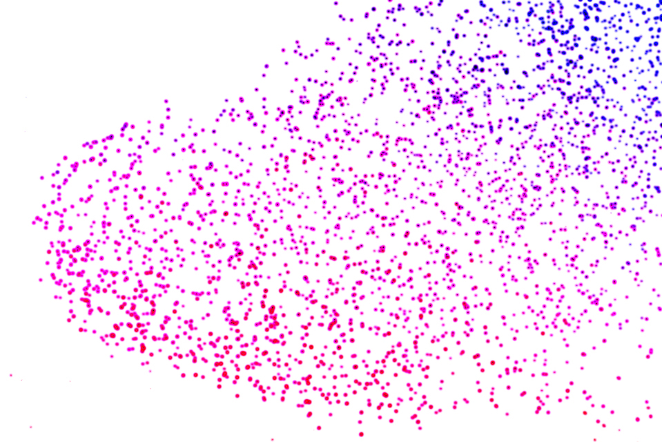 Colorful Swarm of Birds I - ID 007389