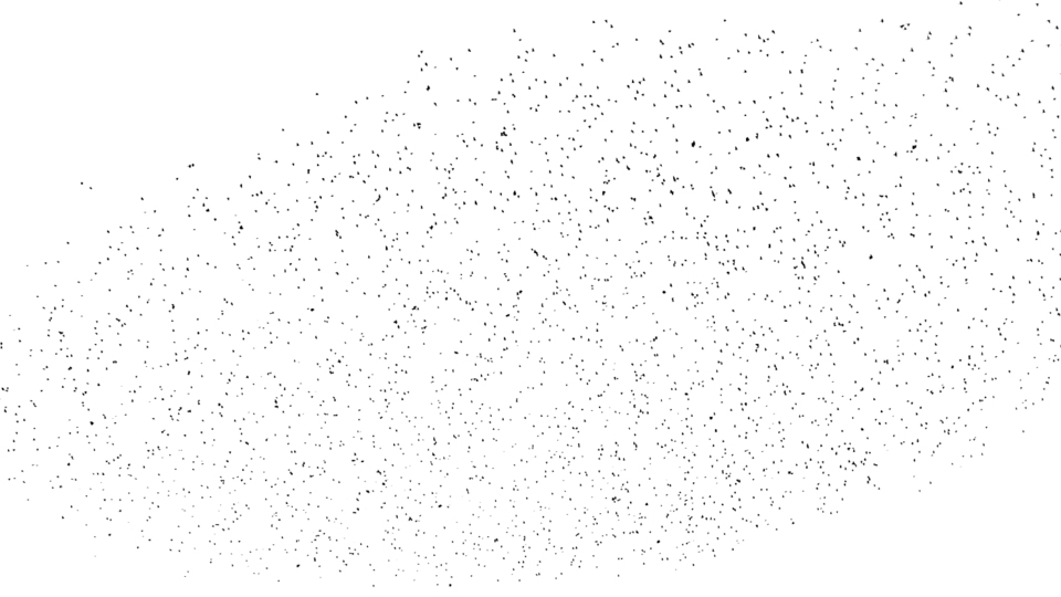 Swarm of Birds XIb - ID 007393