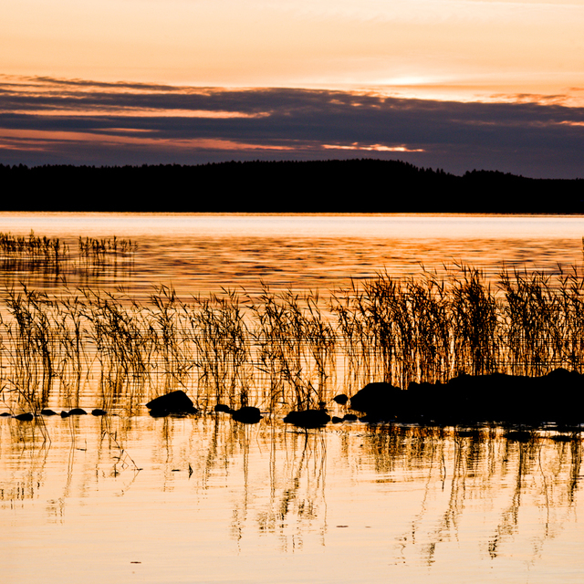 Last Light at Lake II - ID 007396
