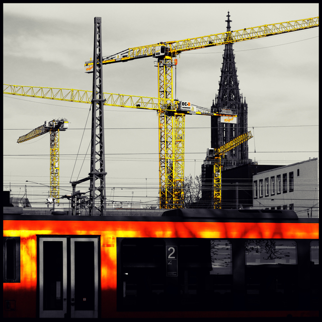 Yellow Cranes Grey Minster II - ID 007447