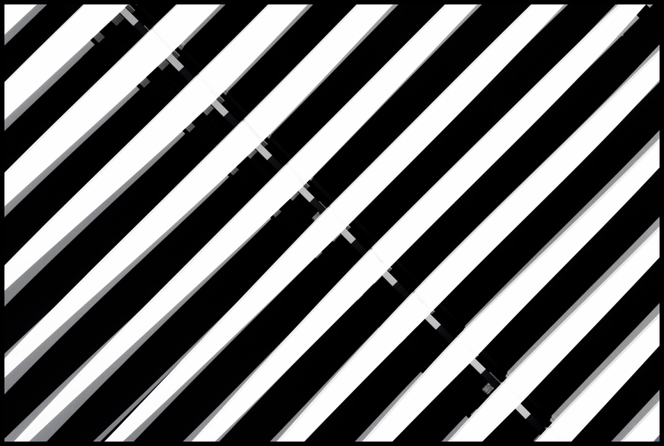 Shades II - ID 007456