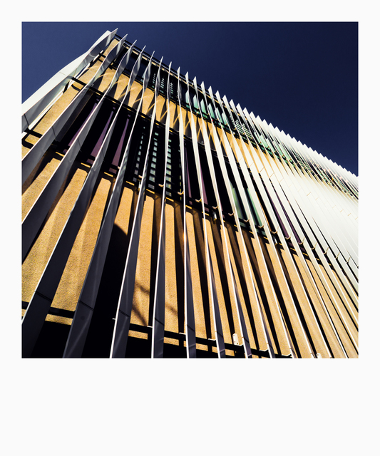 Shades X - ID 007464