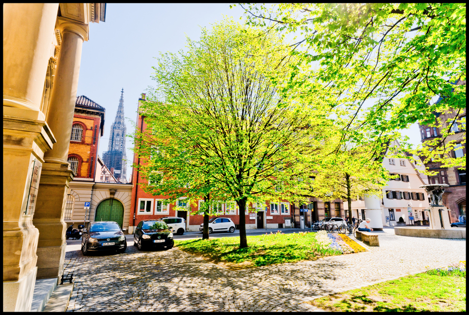 Minster with first Green - ID 007467