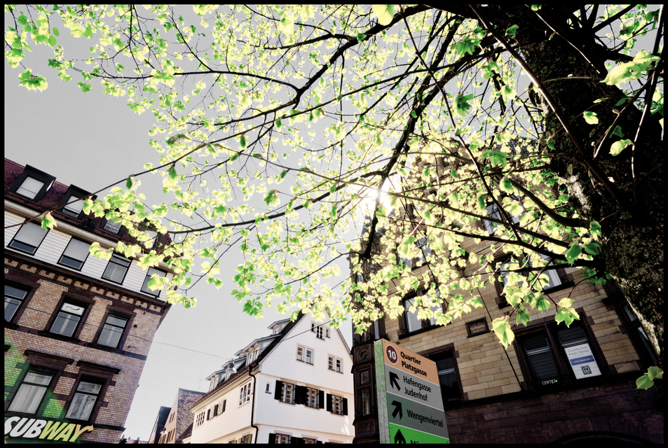 First Green - ID 007468