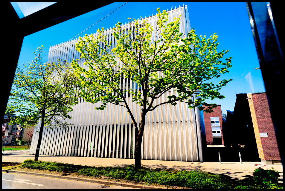 Behind Justice Building Stop - ID 007479