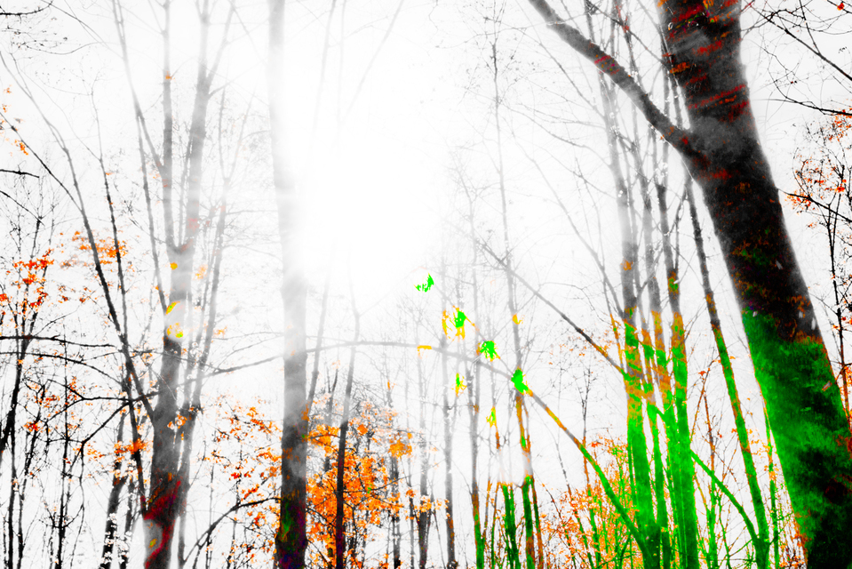 Spring Is Coming I - ID 007494