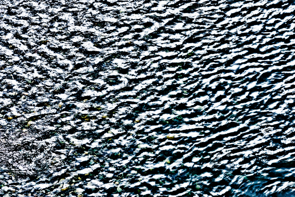 Spring Water V - ID 007503