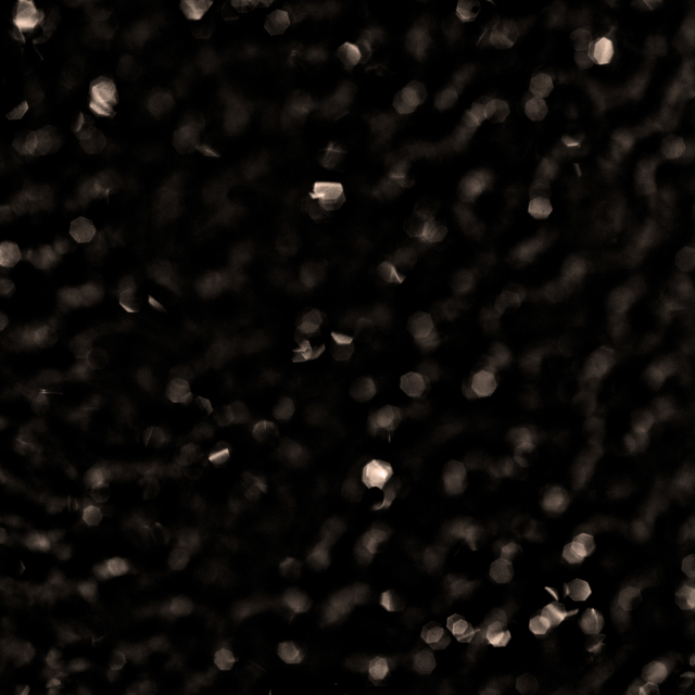 Bubbles VIII - ID 007534