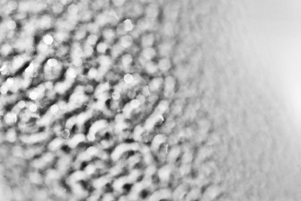 Garden Spring Explosion I - ID 007537