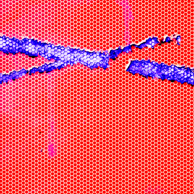 Damages III - ID 007574