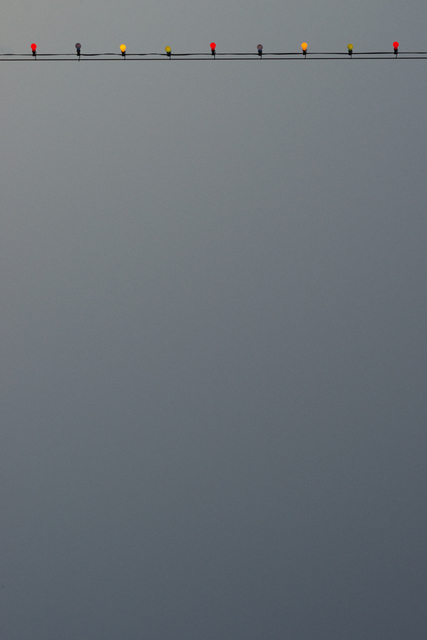 Tent Lights Play VIII - ID 007617