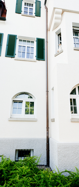 Observation - ID 007631