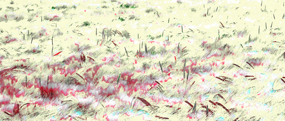 Rye CXXII - ID 007764