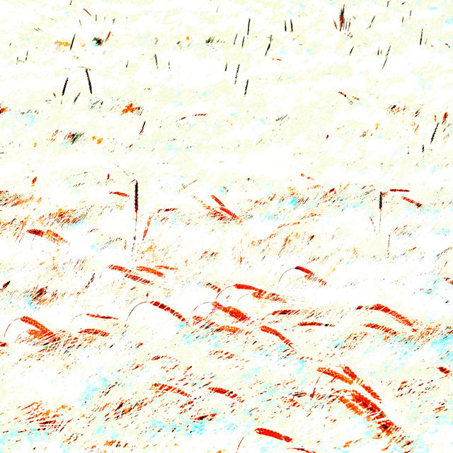 Rye CXXVII - ID 007769