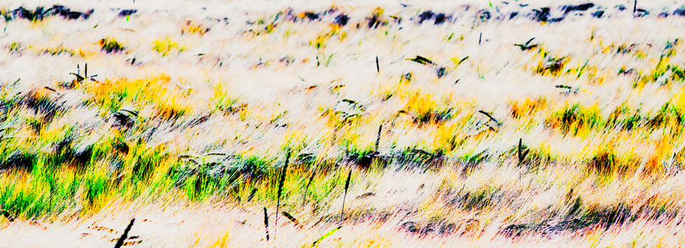 Rye CXXXVI - ID 007778