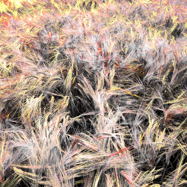 Rye CLXIII - ID 007819