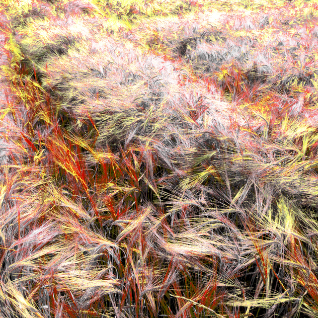 Rye CLXV - ID 007821