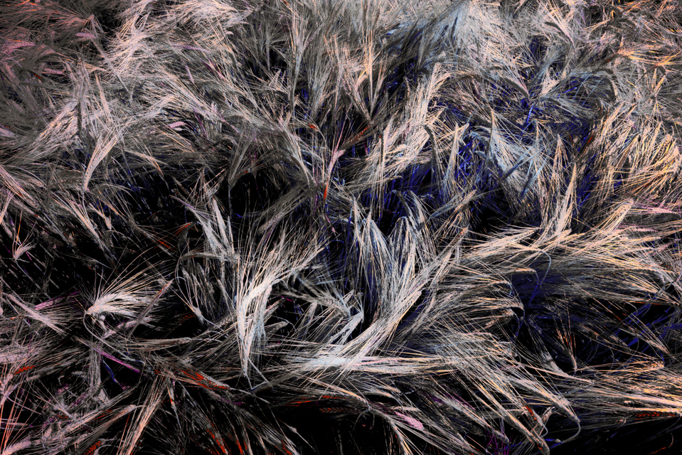 Rye CLXXII - ID 007828