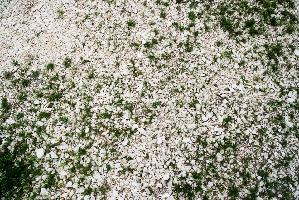 Stones and Green I - ID 007969