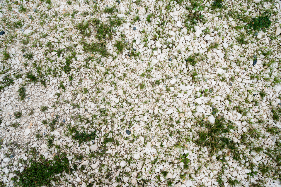 Stones and Green II - ID 007970