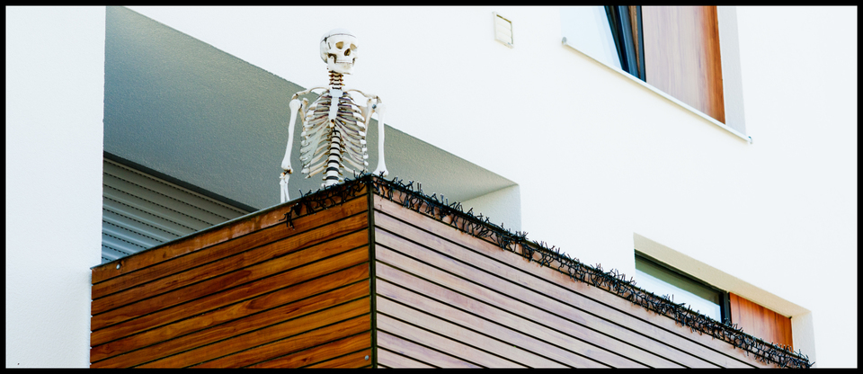 New Development Area Kills You I - ID 007973