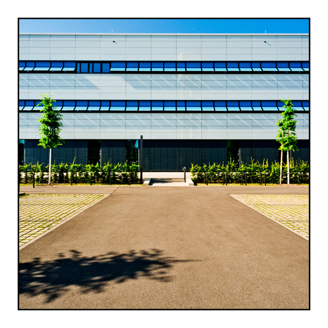 Sunny Day - ID 007992