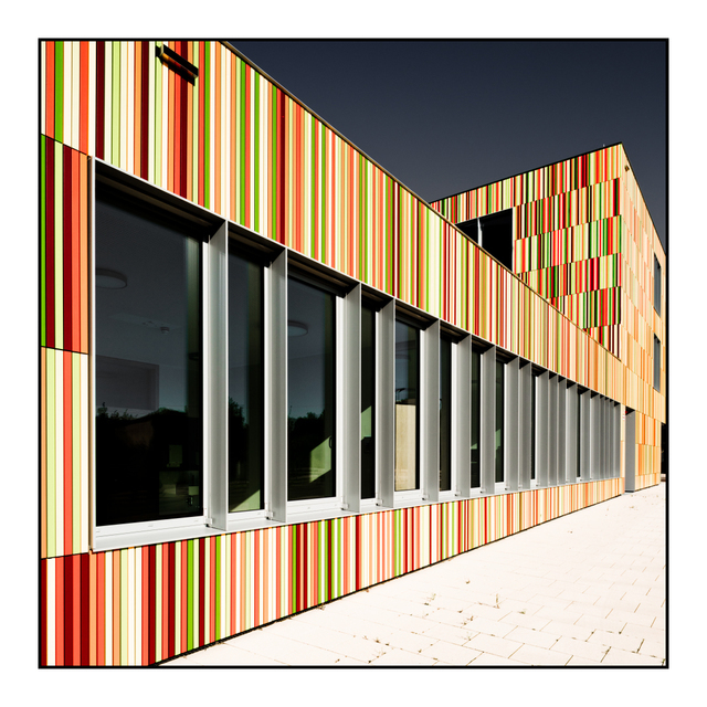 School of Stripes I - ID 008001